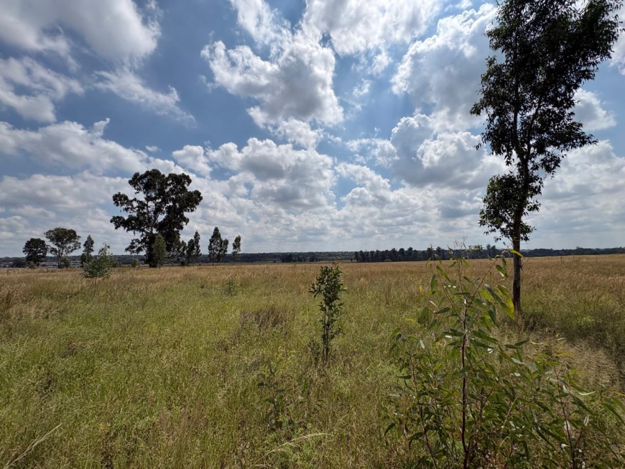 0 Bedroom Property for Sale in Vaalpark Free State